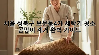 서울 성북구 보문동4가 세탁기 청소, 곰팡이 제거 완벽 가이드!