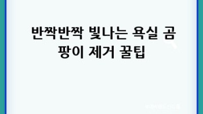상쾌한 우리 집 만들기 🏡 공기청정기 청소 완전 정복 (상주 내서면 편)